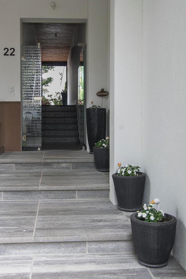 Weingut Und Gaestehaus Salzl Illmic Kültér fotó